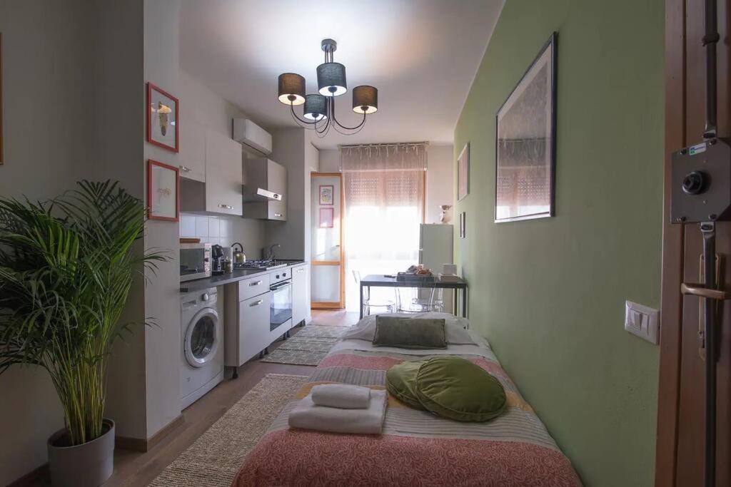 Alice'S Guest Parking & Wi-Fi Apartment Pisa Exterior photo